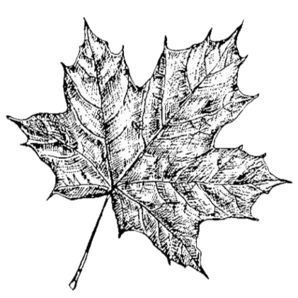 undefined - Edited.png