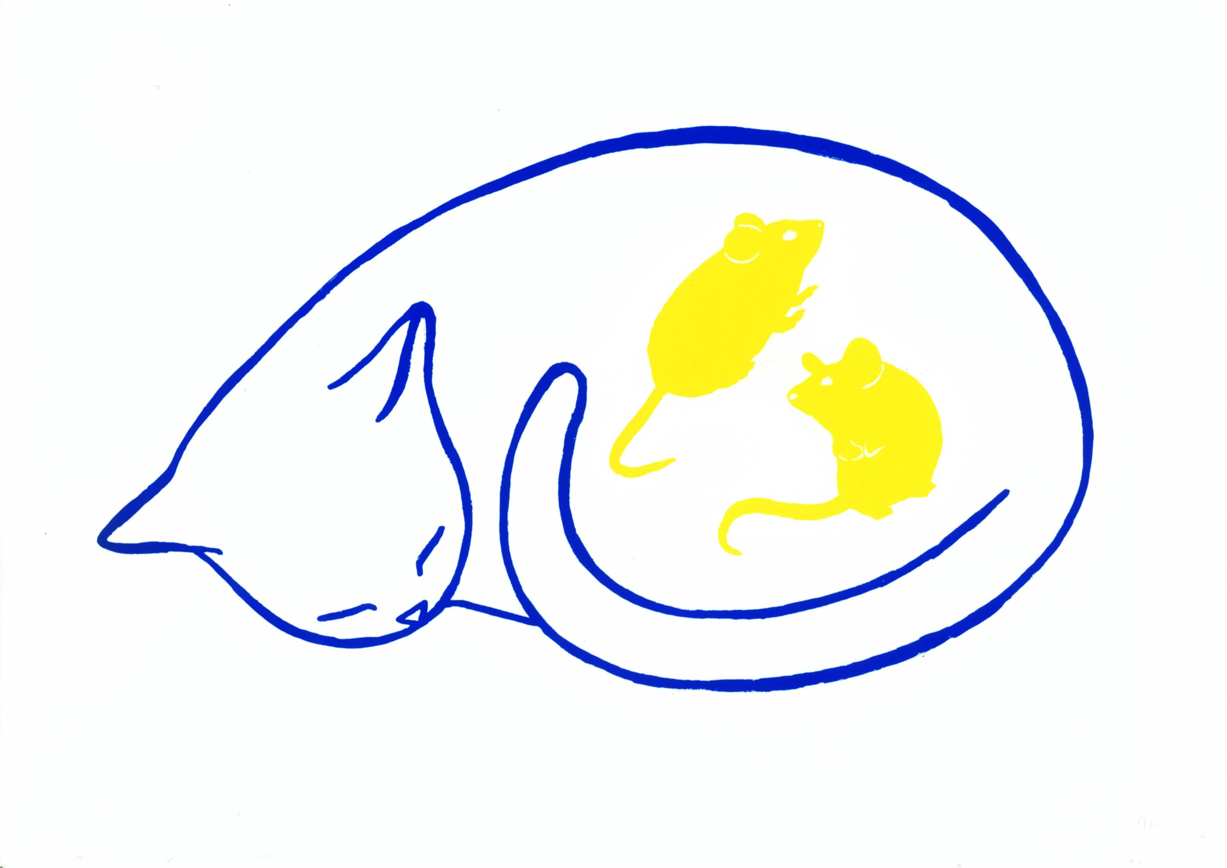 Gato 5.jpg