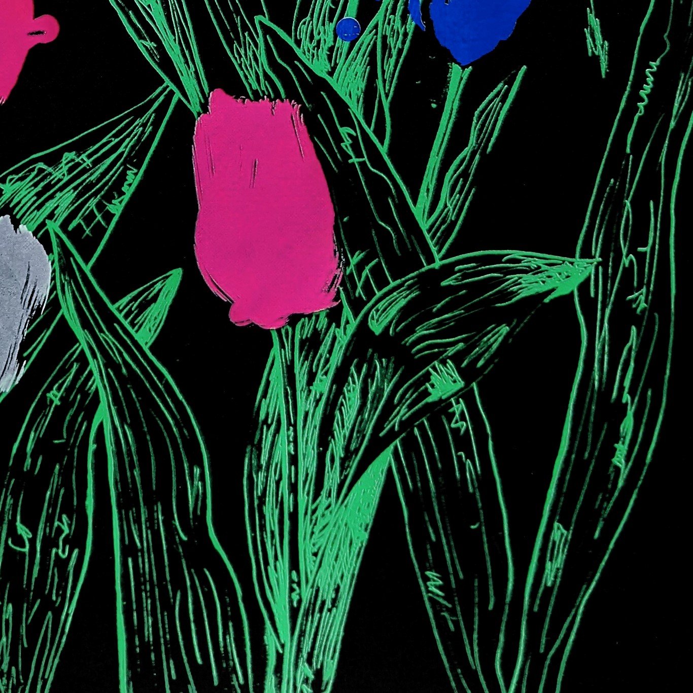 tulips edited - Copy.jpg