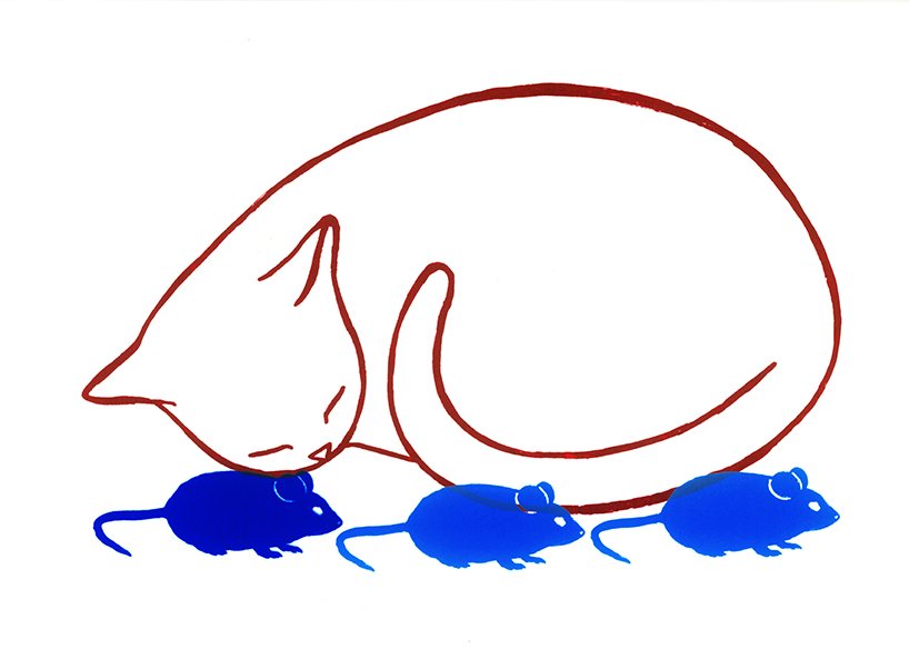 Gato 3.jpg