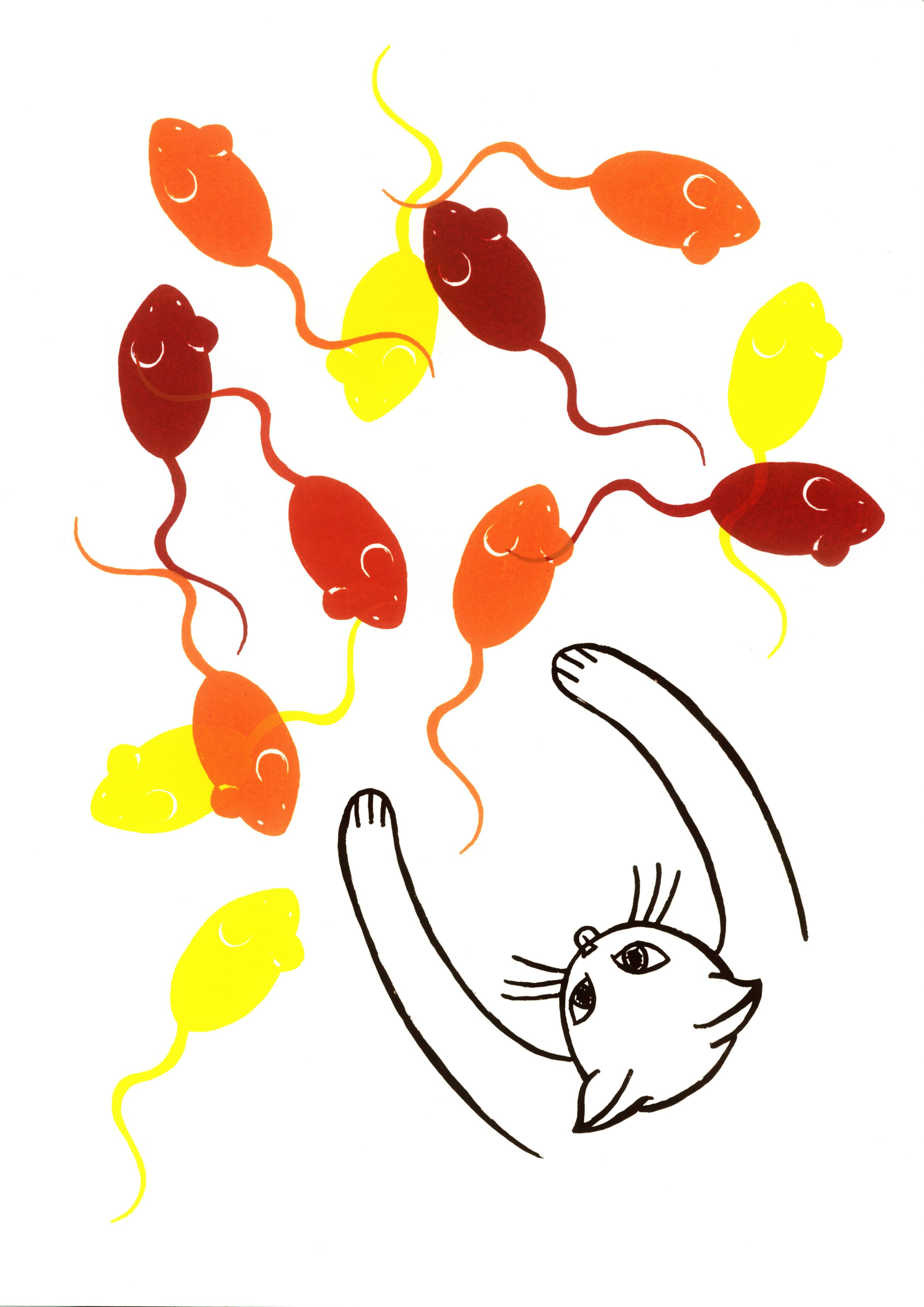 Cat 5.jpg