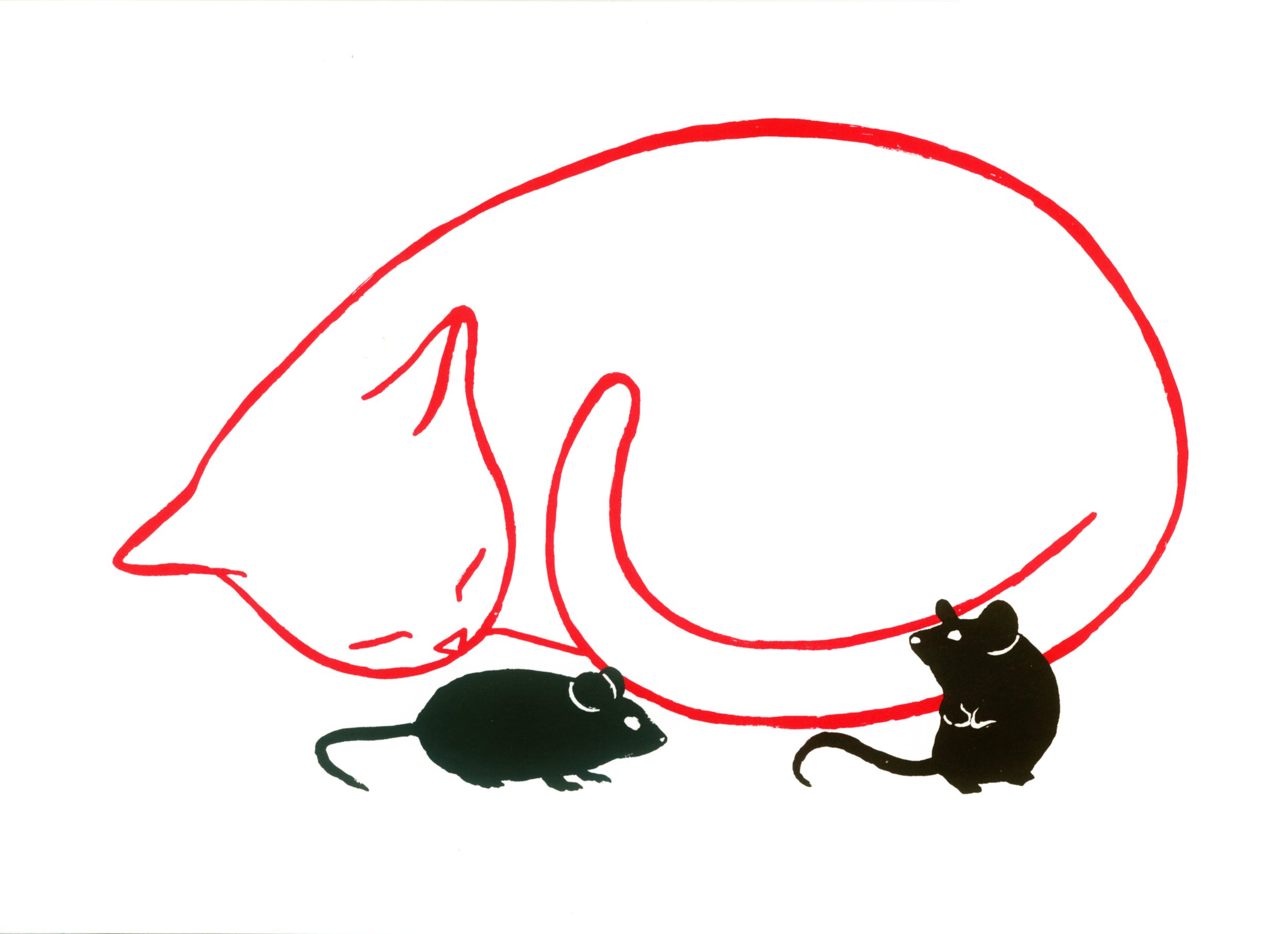 Gato 1.jpg