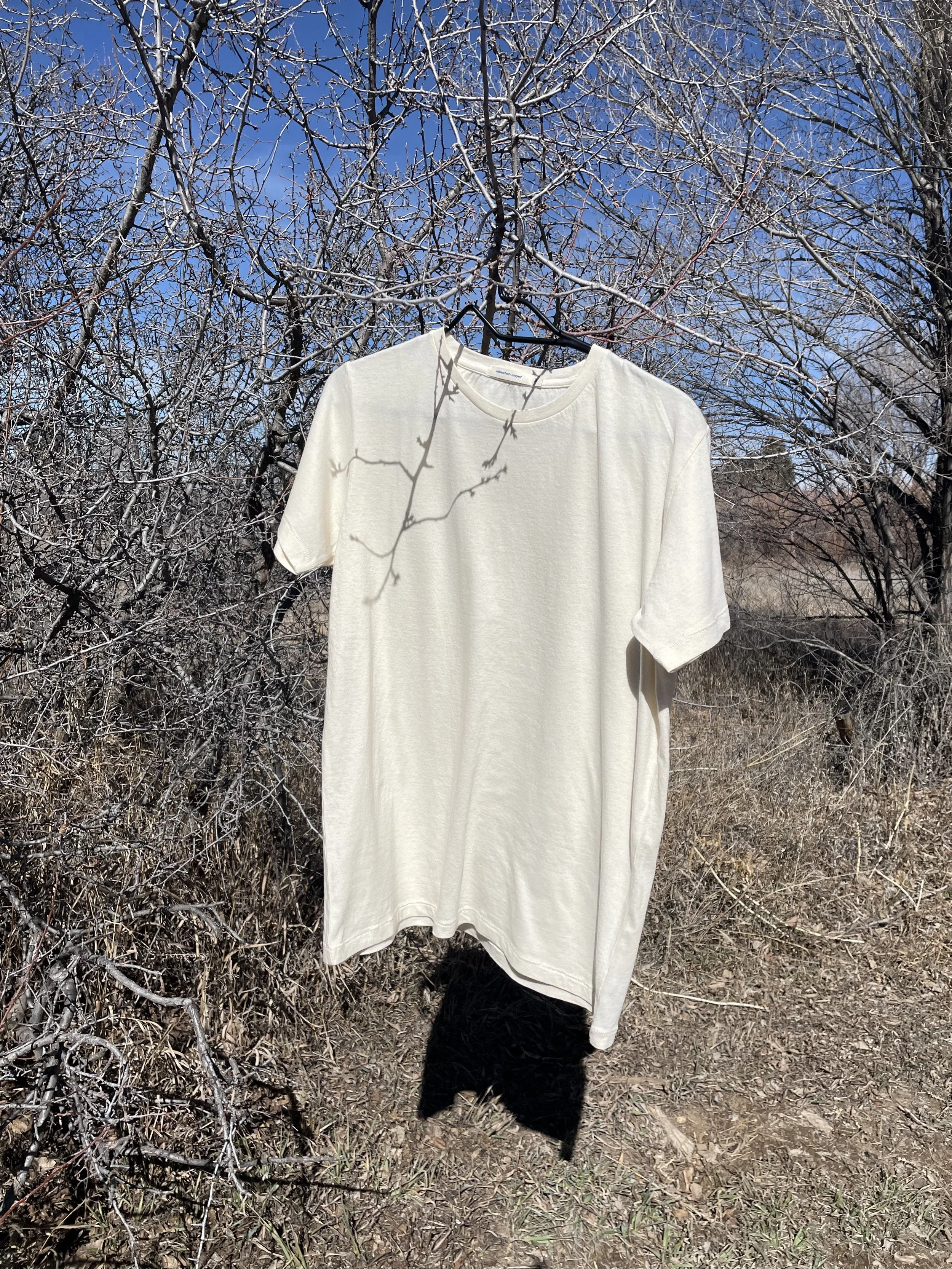 The Everyday T-Shirt | 100% Organic Cotton | Undyed/Unbleached