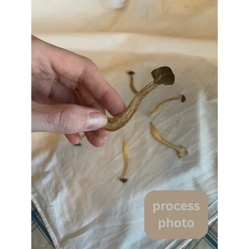 process photo (3).jpg