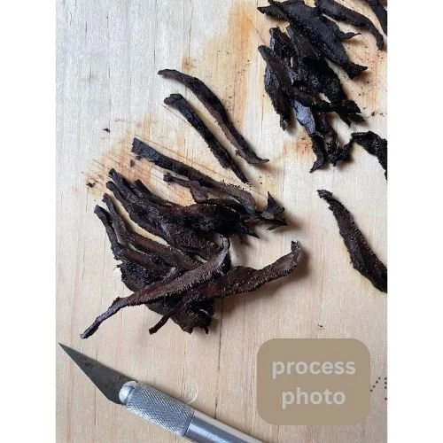 process photo (5).jpg