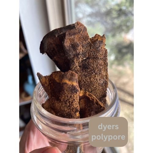 process photo (9).jpg