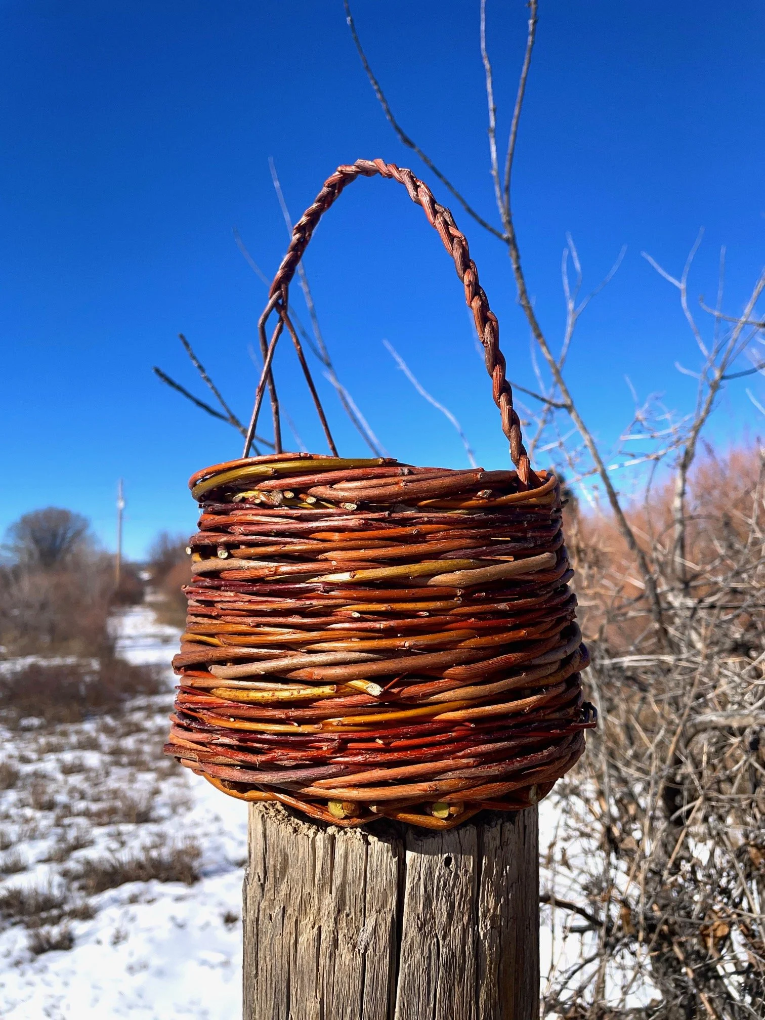 The Aspiring Forager's Willow Basket | Locally Harvested Willow