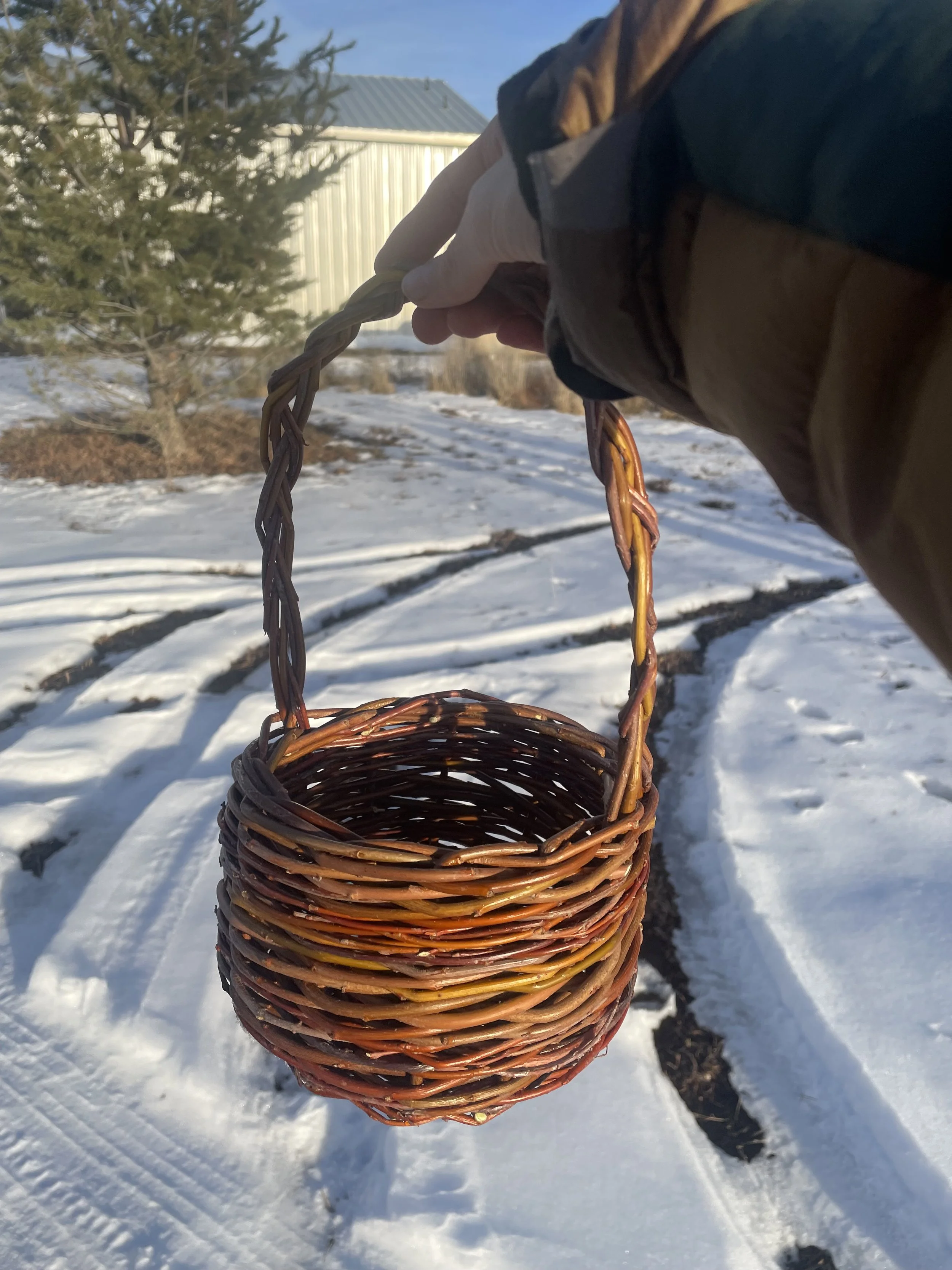 The Aspiring Forager's Willow Basket | Locally Harvested Red Willow | Double-Braid Handle