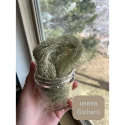 process photo (11).jpg