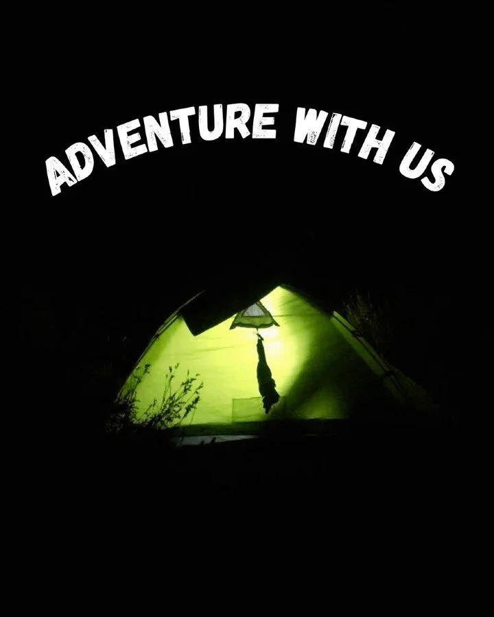 Pack light. Dream big. Live wild. 
From starry nights in the mountains to sunrise summits, every moment with Wild Pursuit is about pushing limits, finding freedom, and discovering more of yourself in the wild.

Join our weekly programs and step into 