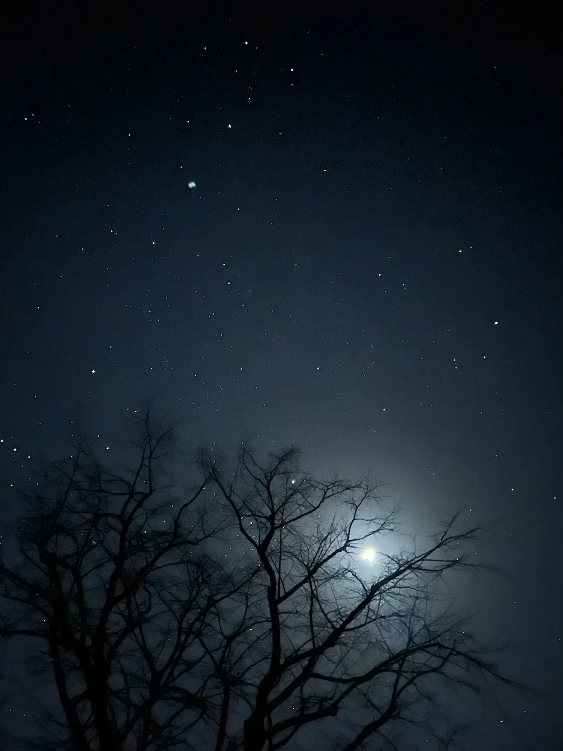 Rossignols, Art de Vivre, Star Gazing (Copy) (Copy)