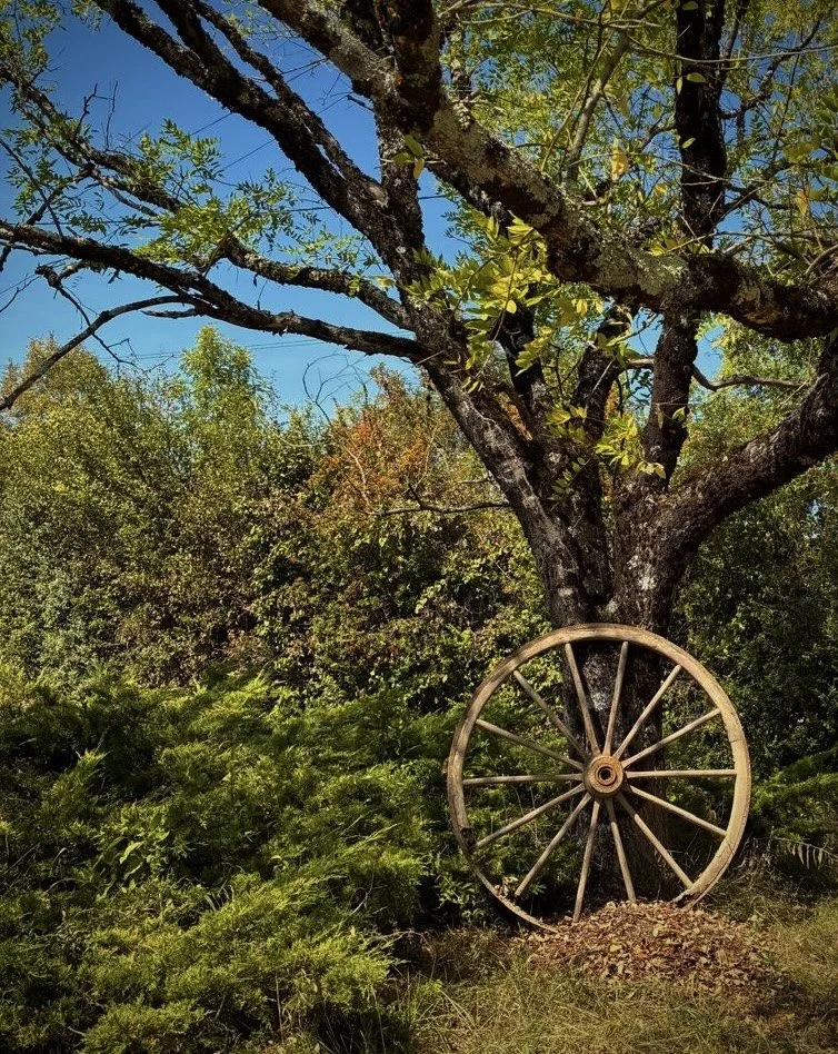 Rossignols, Art de Vivre, Grounds (Copy) (Copy)