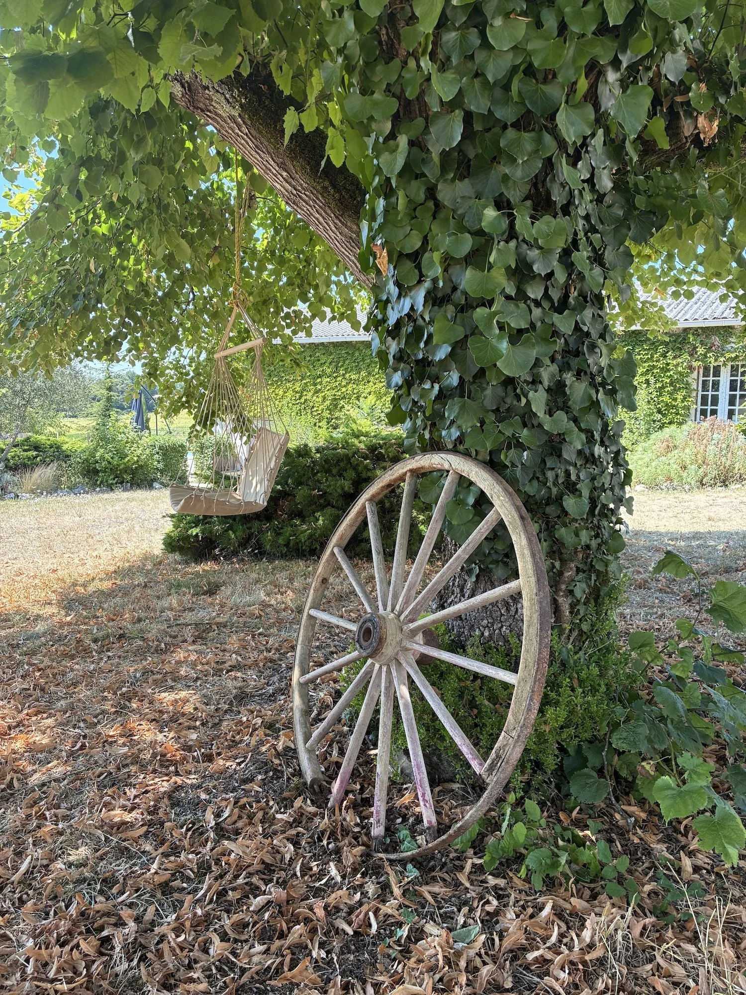 Rossignols, Art de Vivre, Cart Wheel (Copy) (Copy)