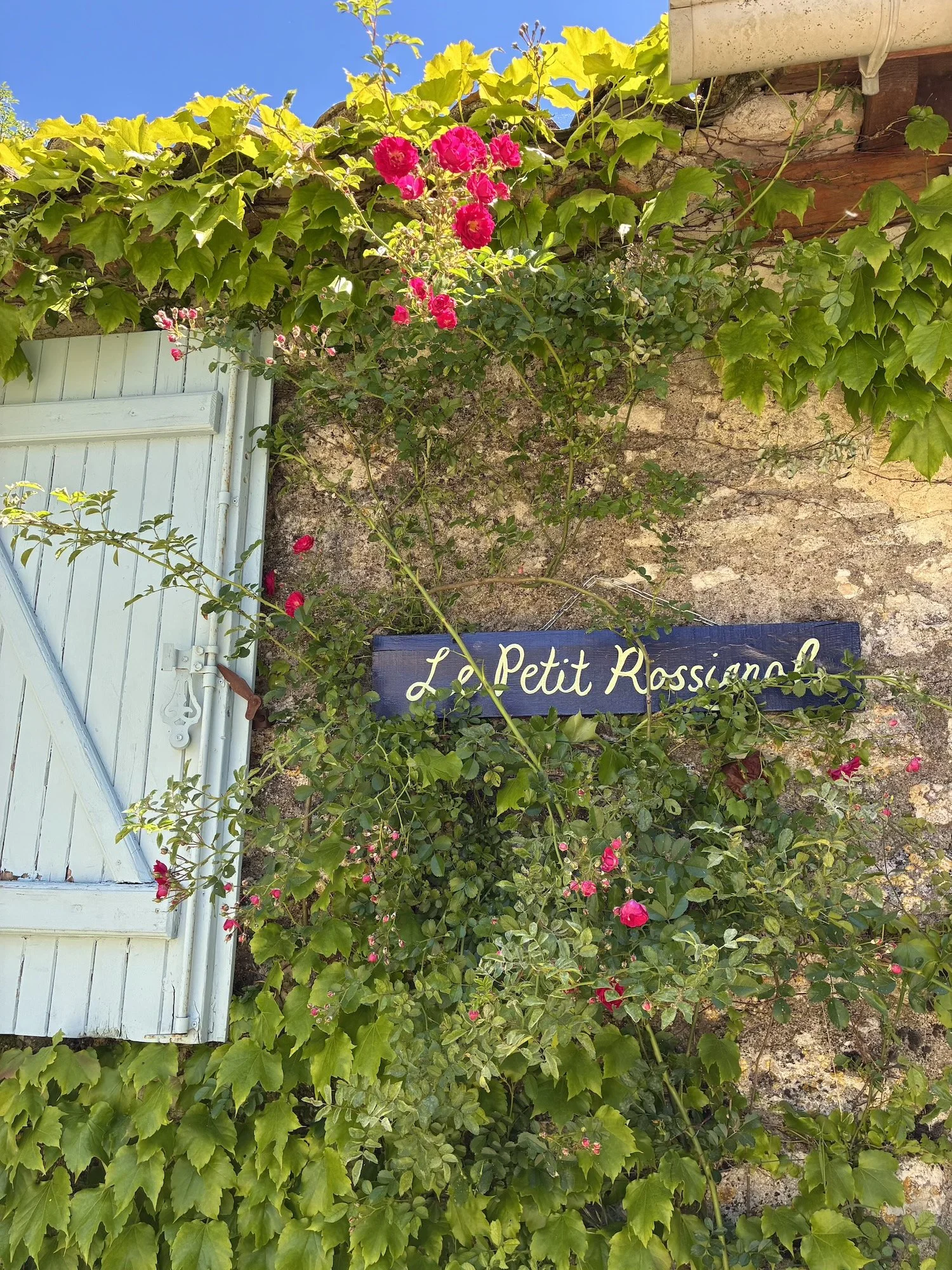 A rustic stone wall with green ivy and pink roses, a light blue wooden shutter on the left, and a dark blue sign that reads 'Le Petit Rossignol' in yellow cursive.