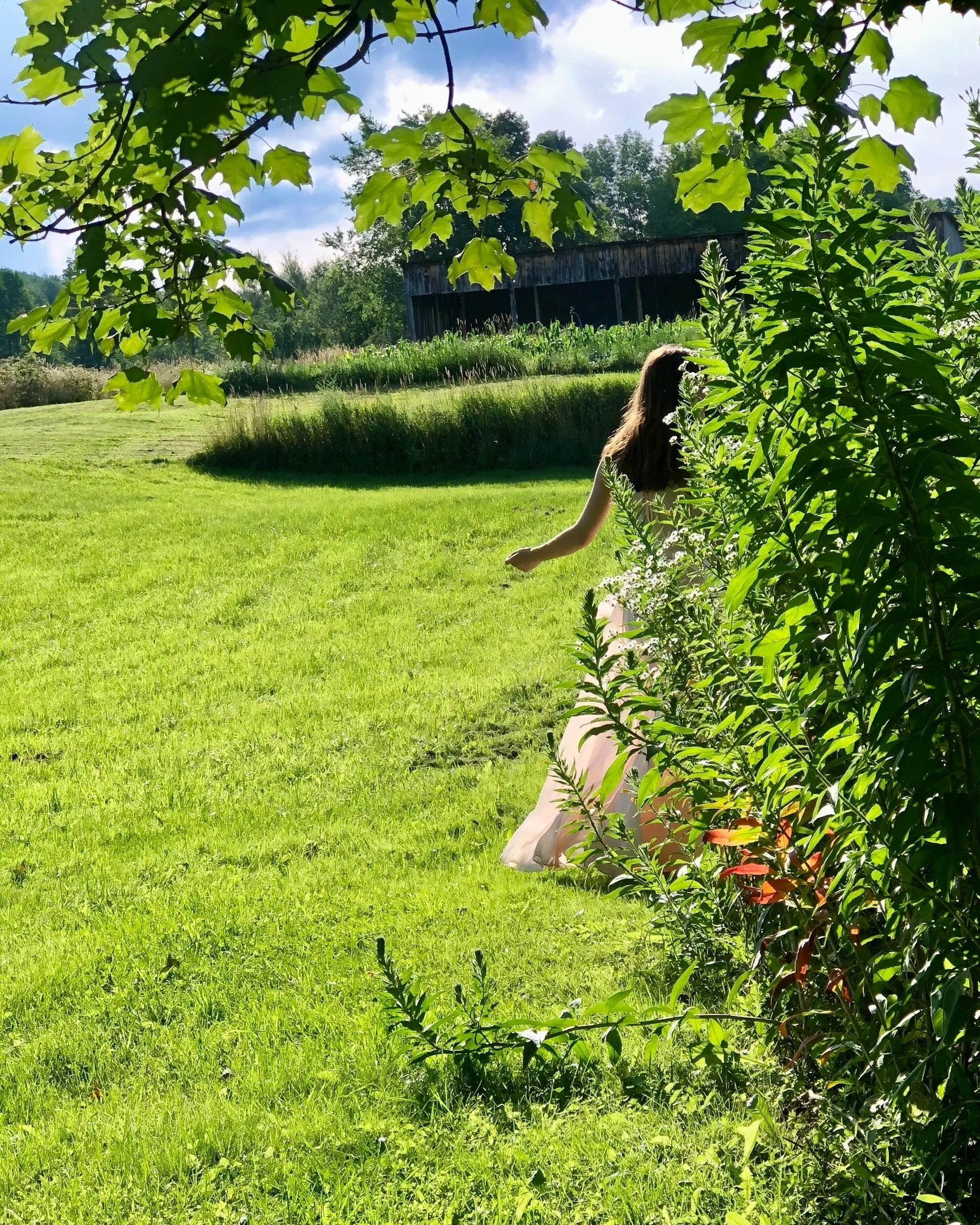 A girl in a pink dress running through a lush green field, partially obscured by bushes, with a rustic barn in the background and trees under a partly cloudy sky.