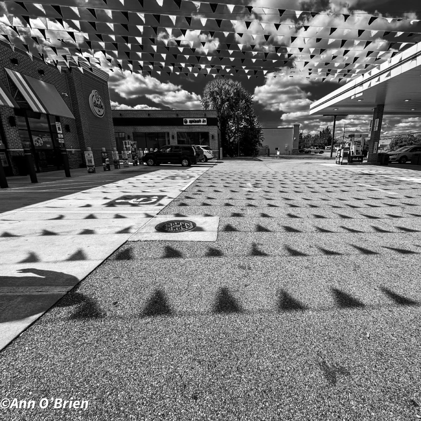 Life is full of shades of grey

#shotoniphone #blackandwhitephotography