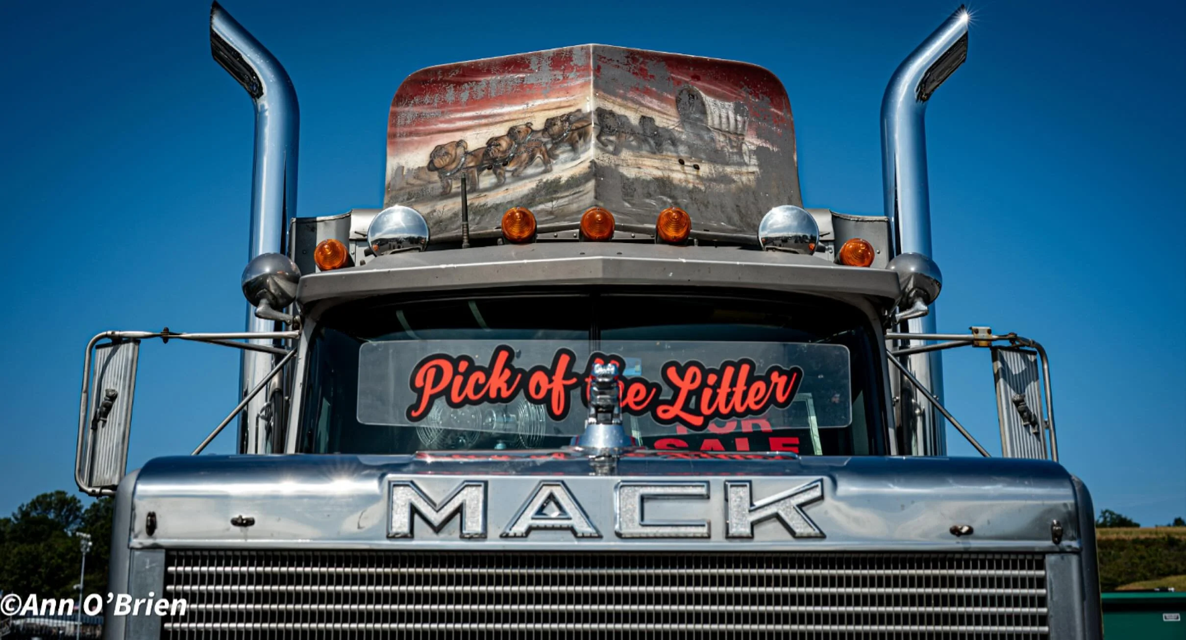 🐾 Not just a truck&hellip; it&rsquo;s the Pick of the Litter. 💪 
#MackPride #pickofthelitter #keystonenationals