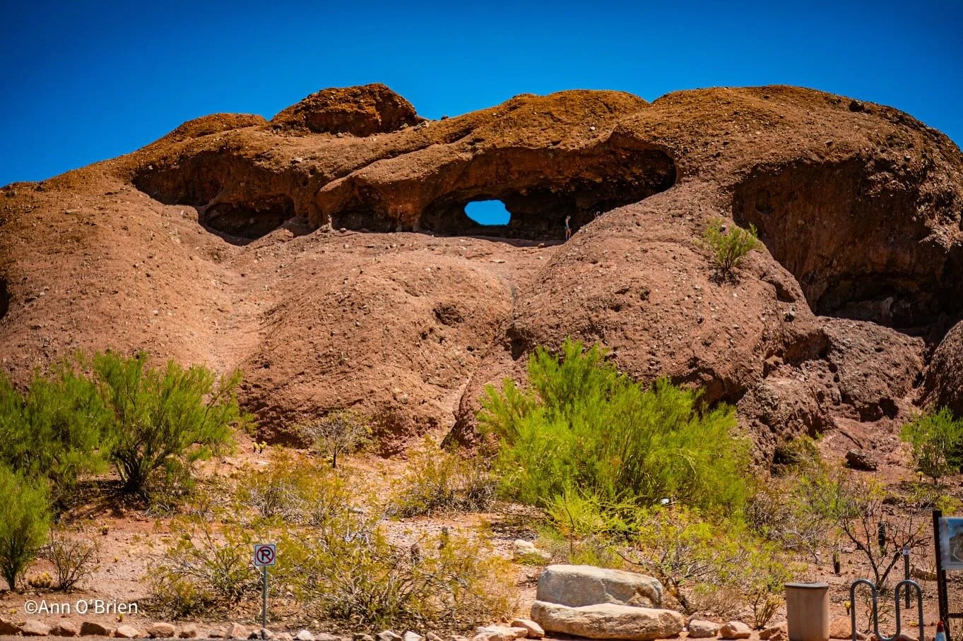 Just a few shots from a trip to Phoenix, AZ

Loved the desert, the vibes and honestly didn&rsquo;t mind the heat.