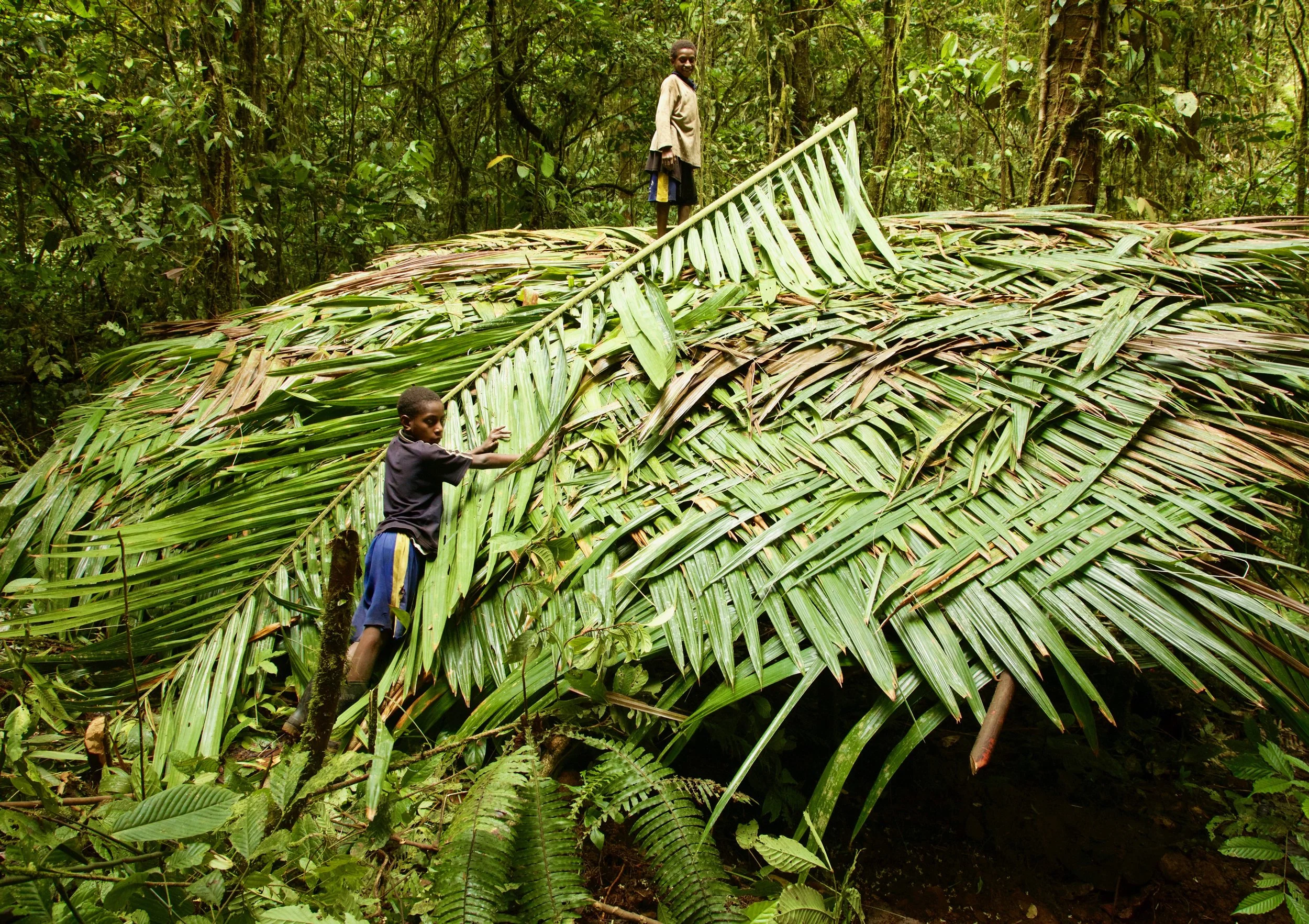 Two children climbing on a large pile of palm leaves in a dense rainforest.