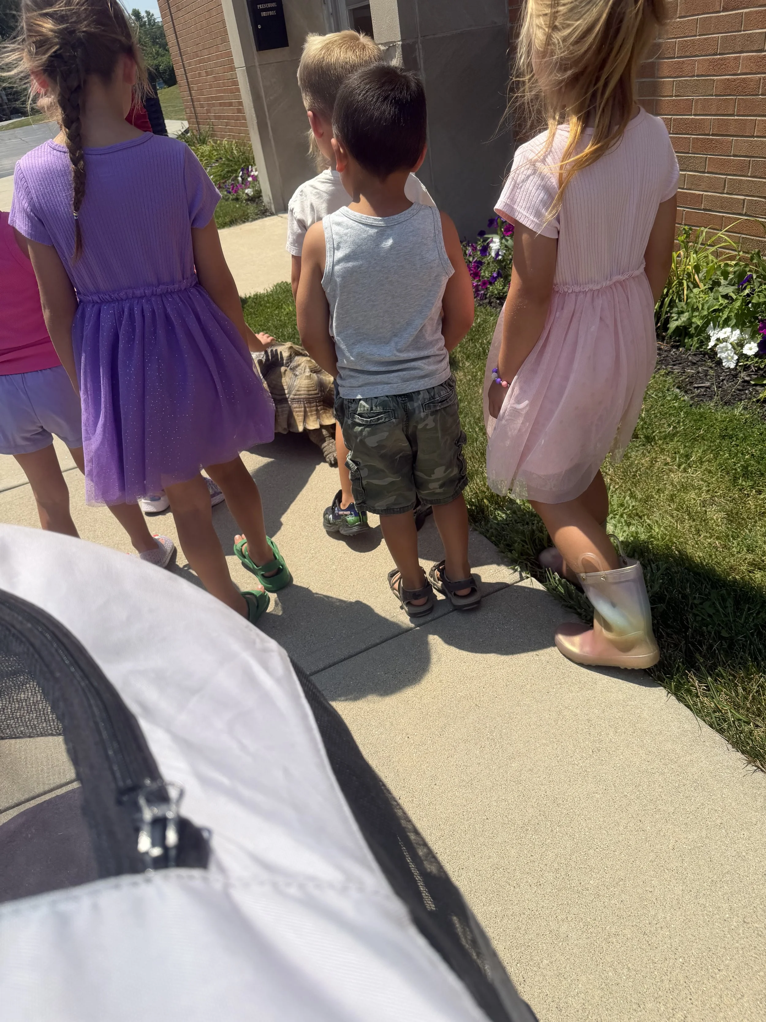 IMG_0669.jpeg