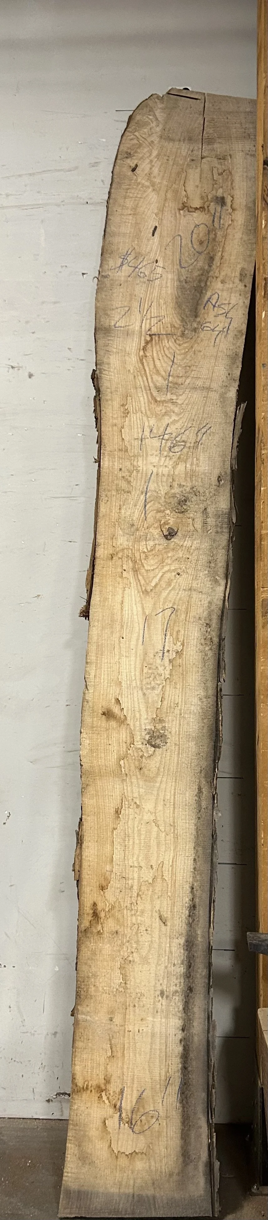 Live Edge Slab_64