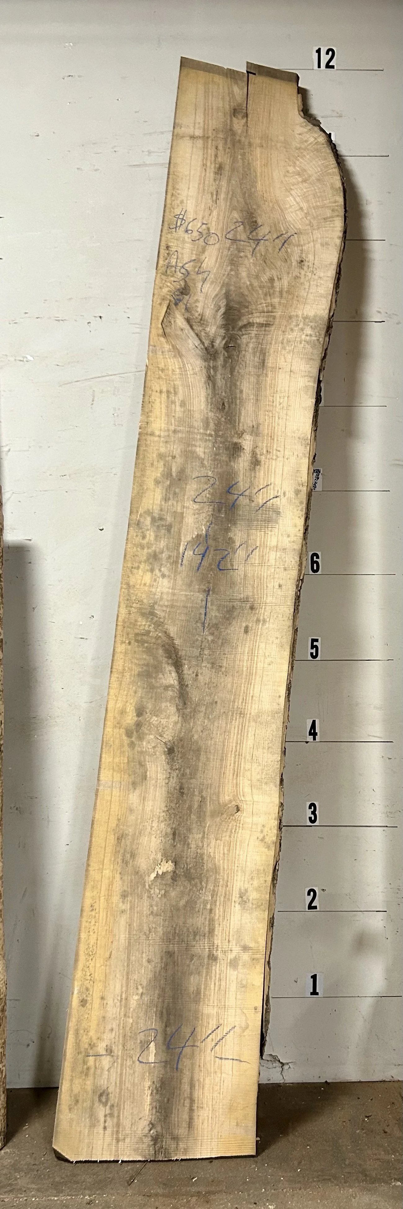 Live Edge Ash Slab_61