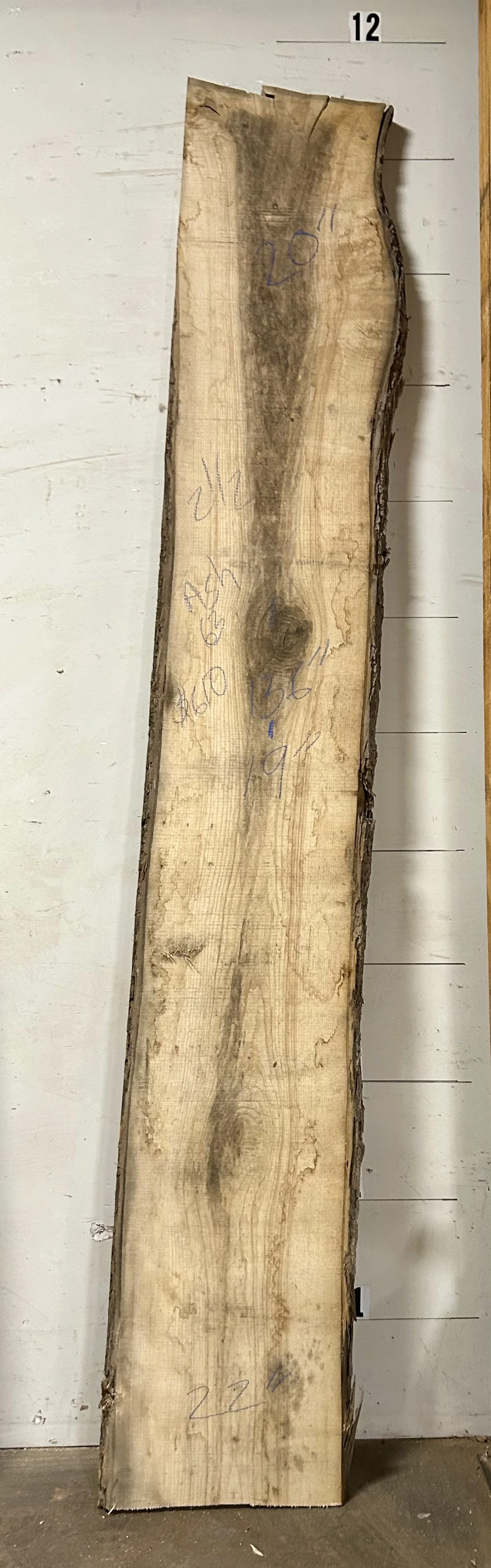 Live Edge Slab_63