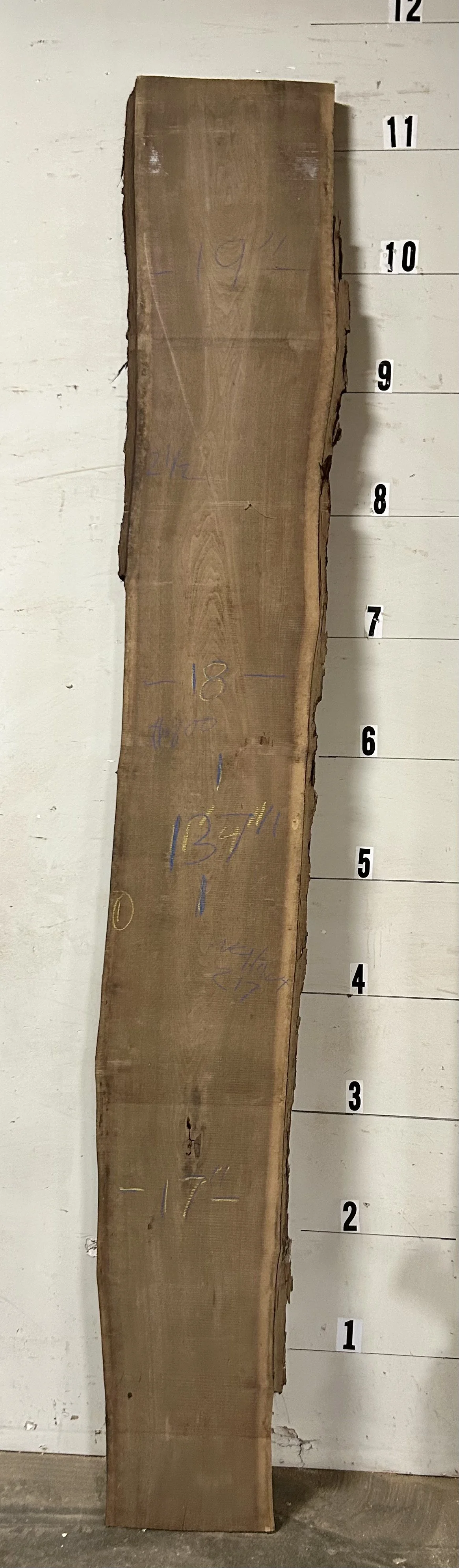 Black Walnut Slab #217