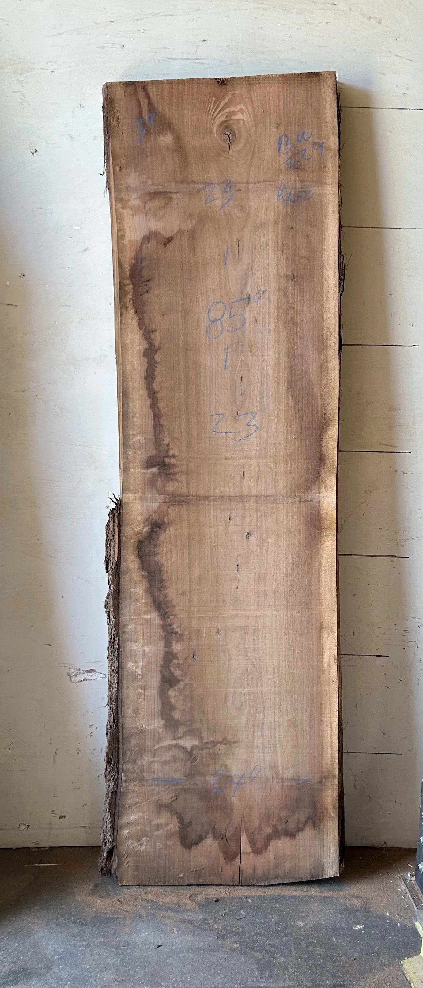 Black Walnut Live Edge Slab #229