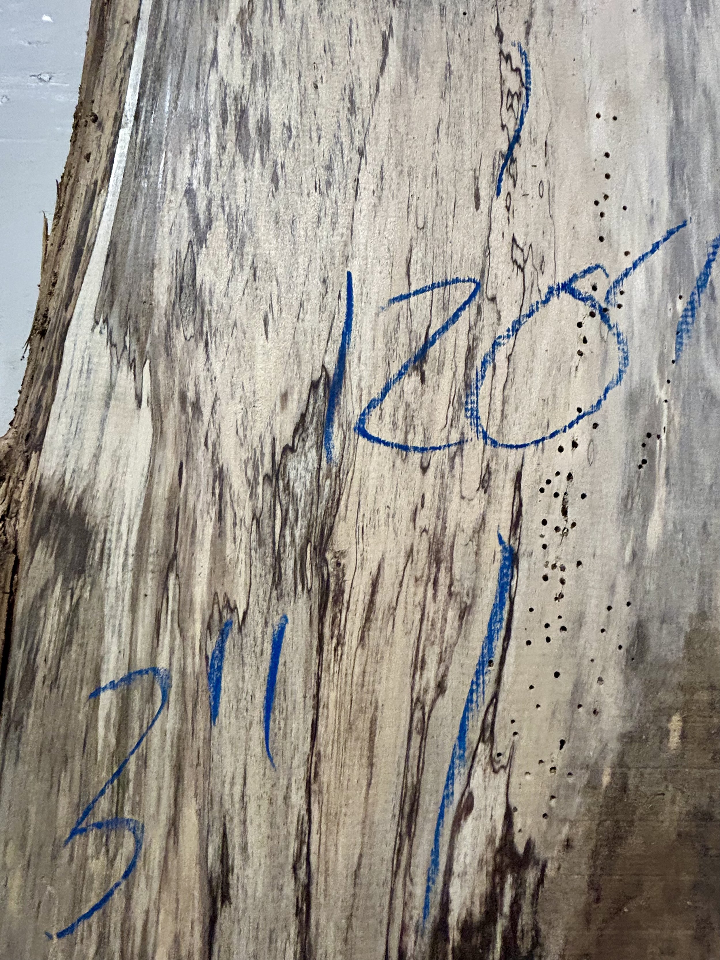 Poplar Slab_19_Image2.jpg