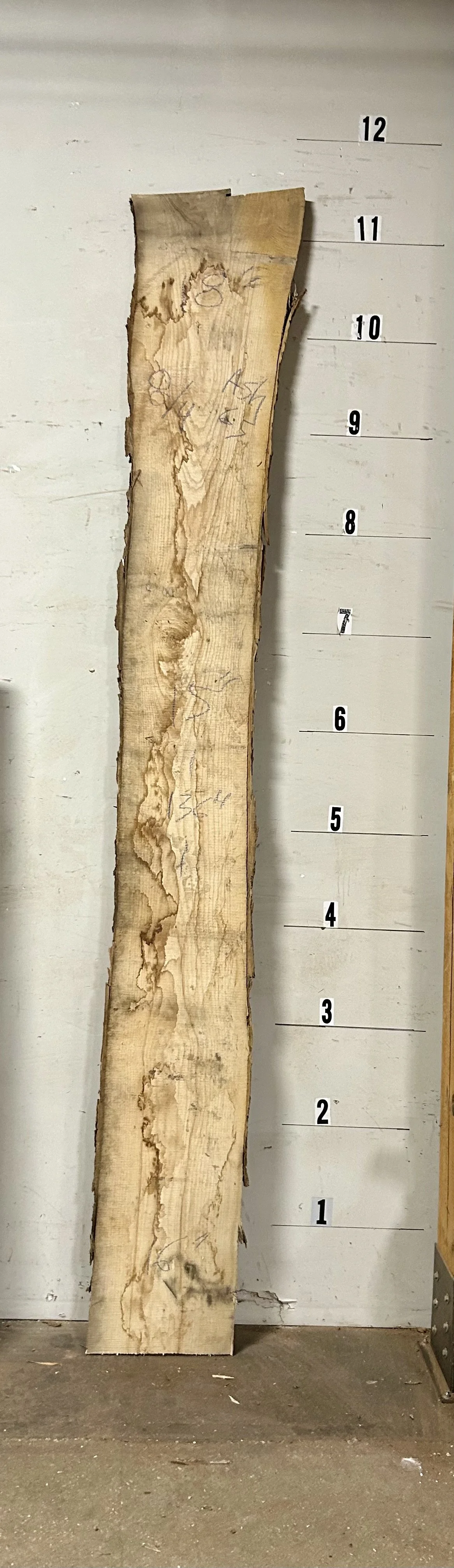 Live Edge Ash Slab_65