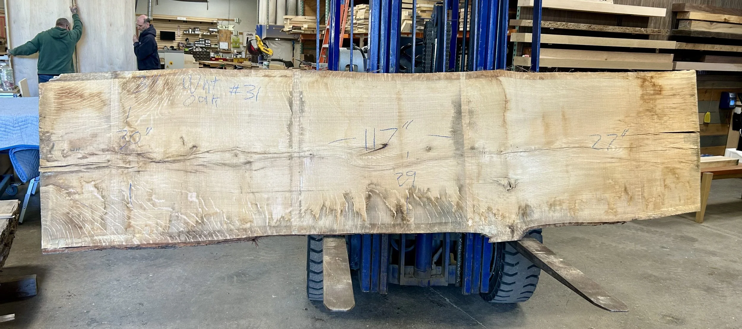 wht oak 31.JPG