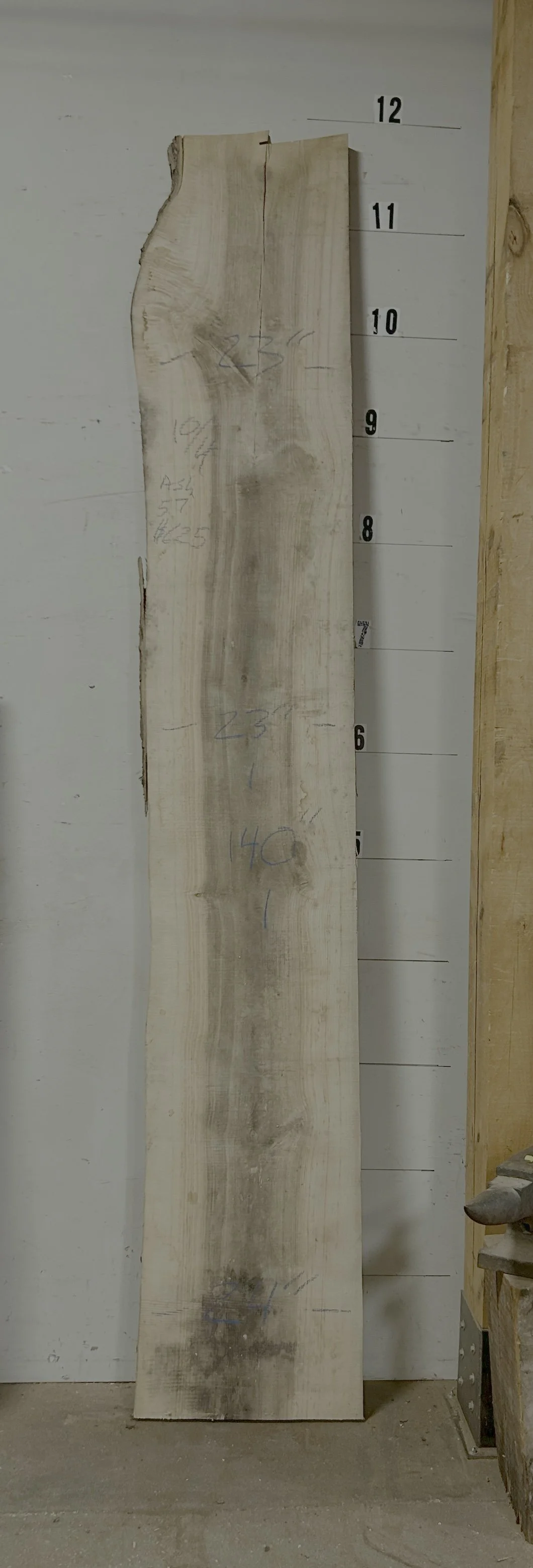 Ash Slab #59