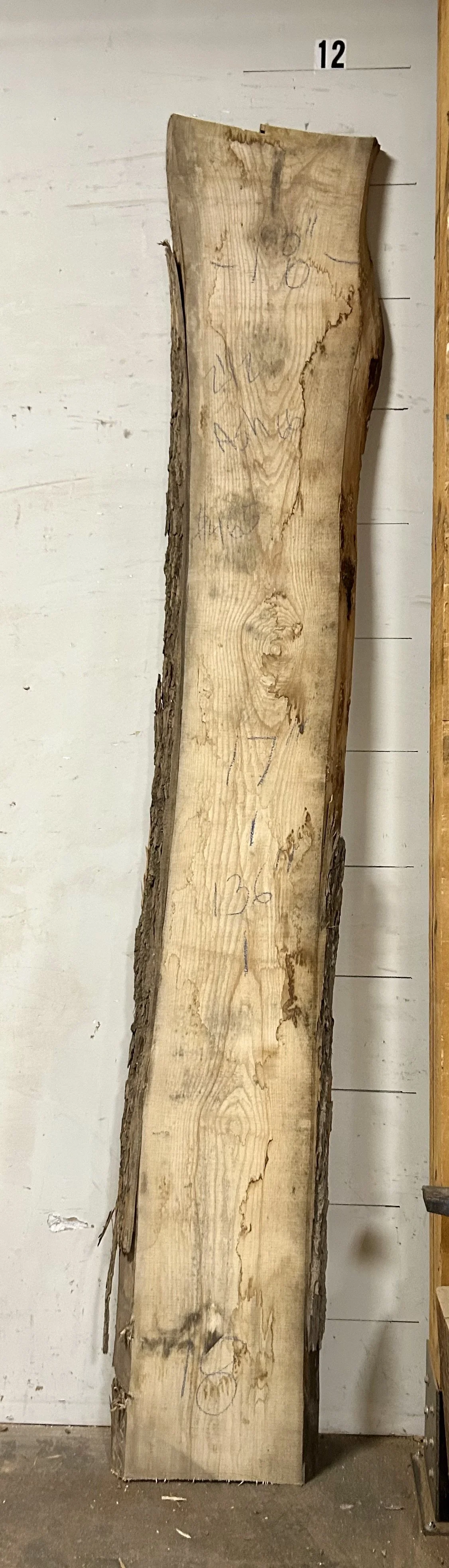 Live edge Ash Slab66