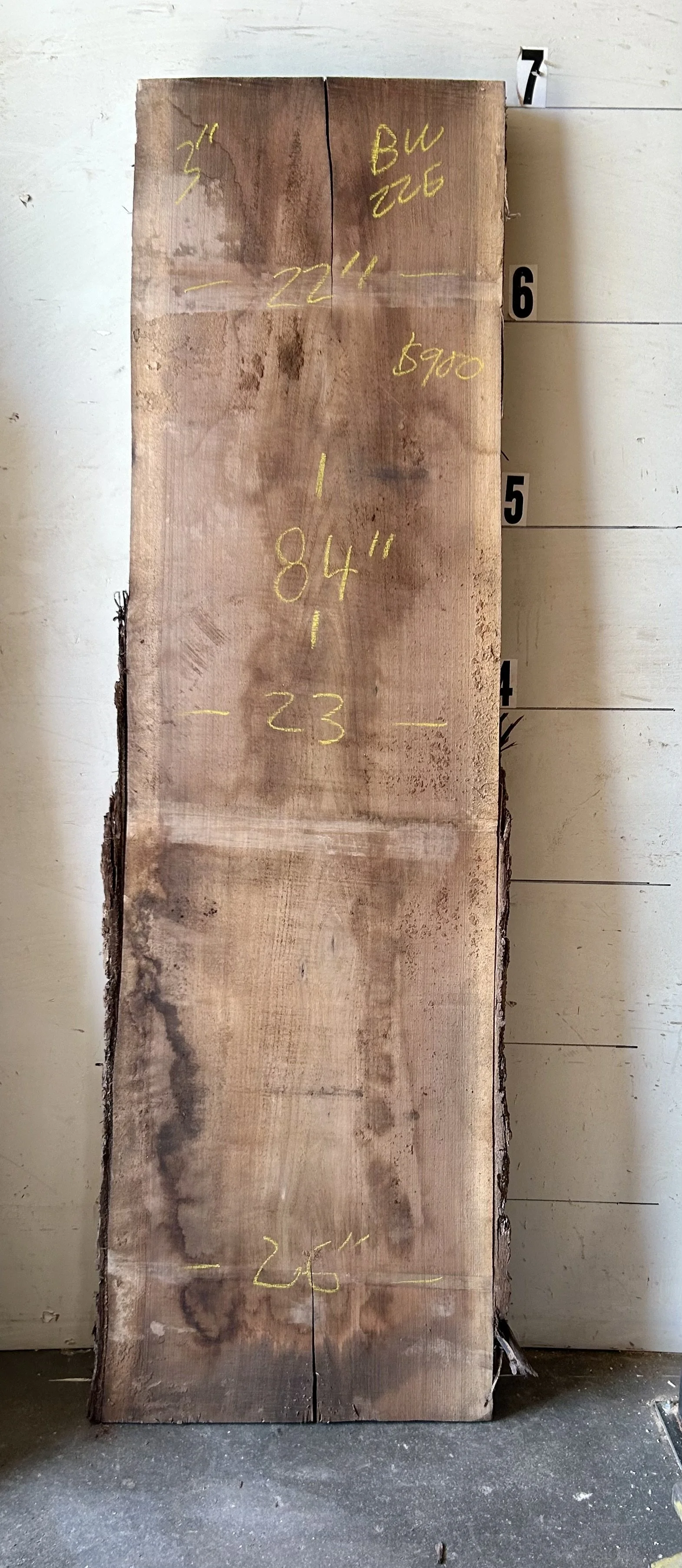 Live edge black walnut slab #225