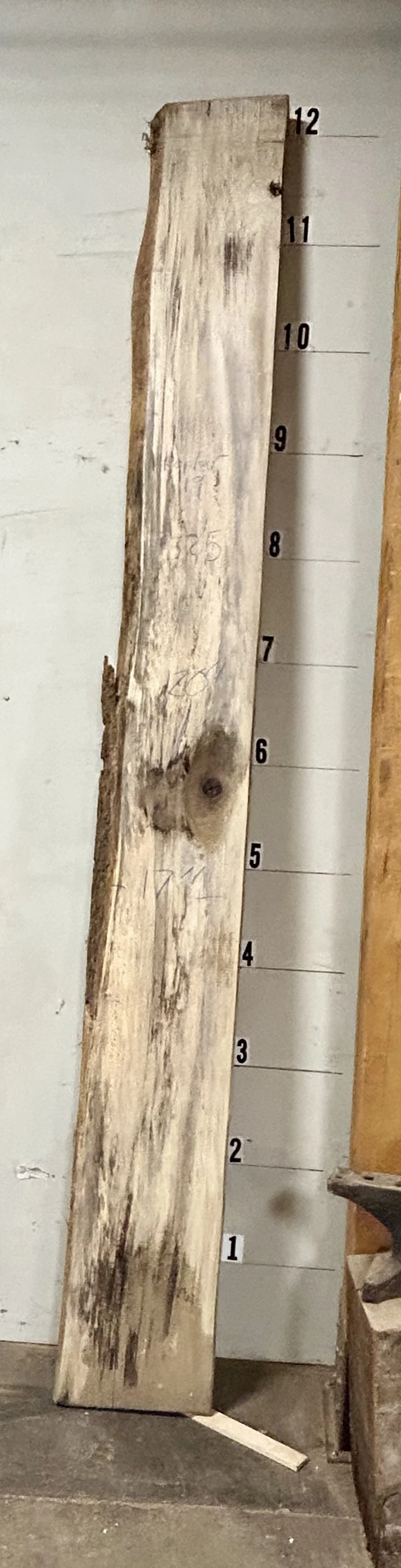 Poplar Slab_19_Image1.jpg