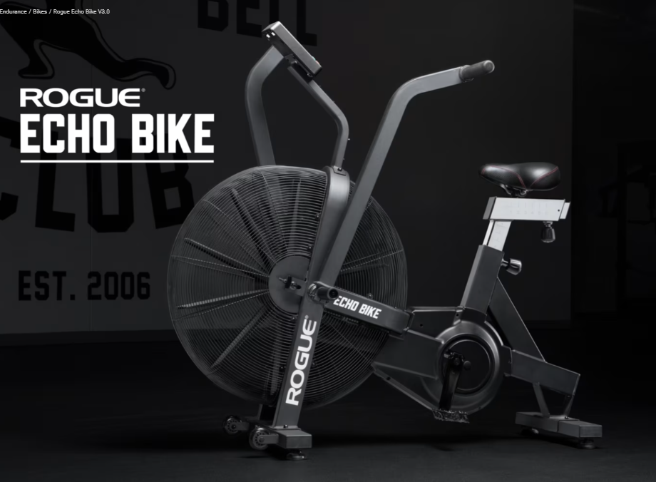 Rogue Echo 3.0 Air Bike.png