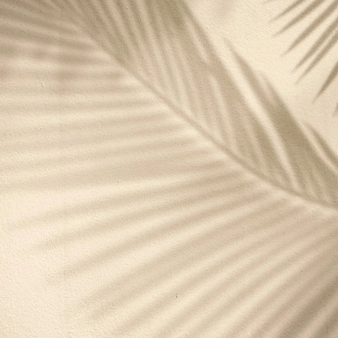 From beauty tech to body recovery tools, we bring cutting-edge devices and premium products directly to your villa, yacht, or hotel.

Because taking care of yourself should be as effortless as enjoying the island. 

Relax, we take care of you.