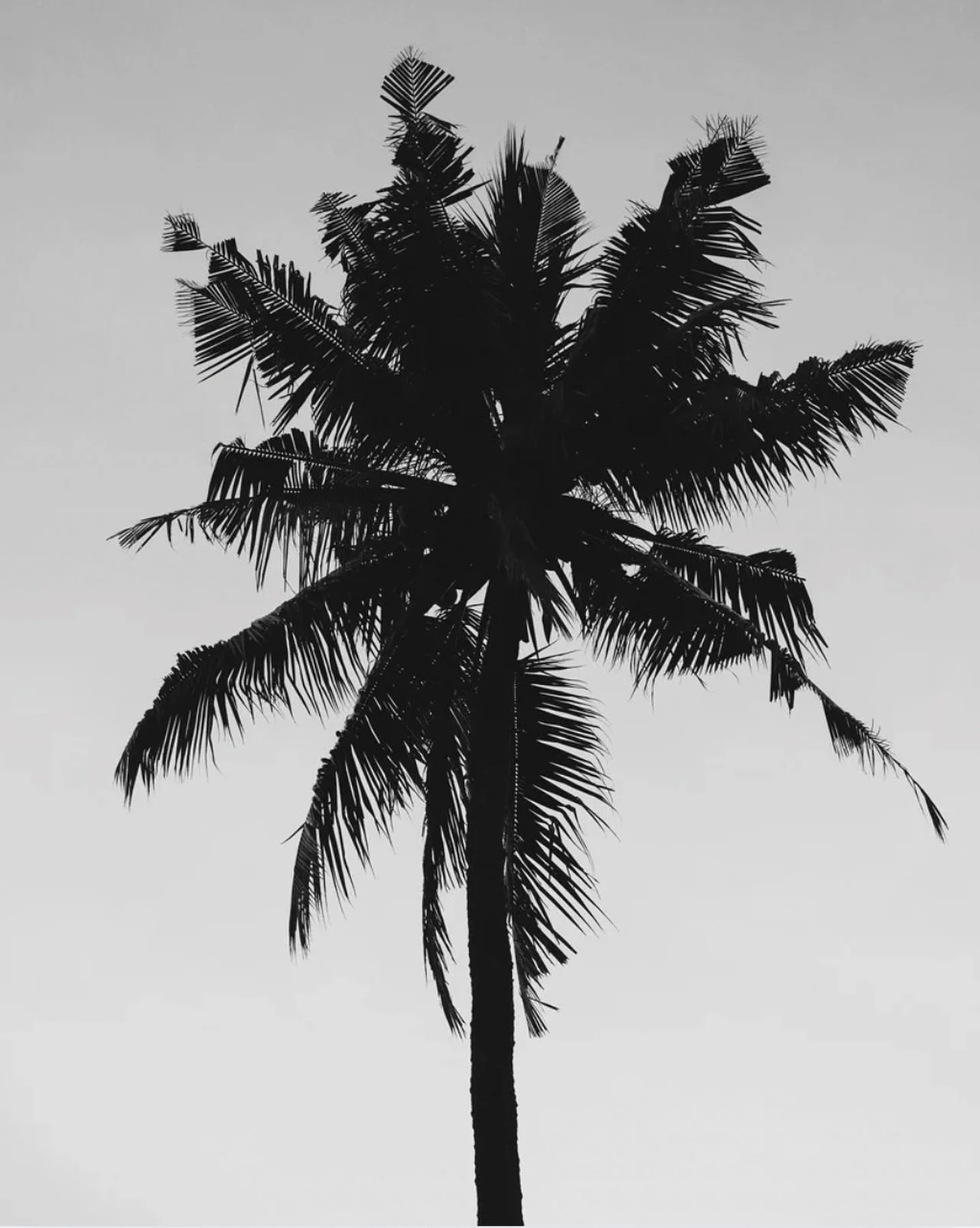 All of our products are showcased on our website www.wellstbarth.com 
From recovery tools to beauty and relaxation must-haves, everything is available for your next getaway.

👉 Don&rsquo;t hesitate to use our rental service to elevate your upcoming 