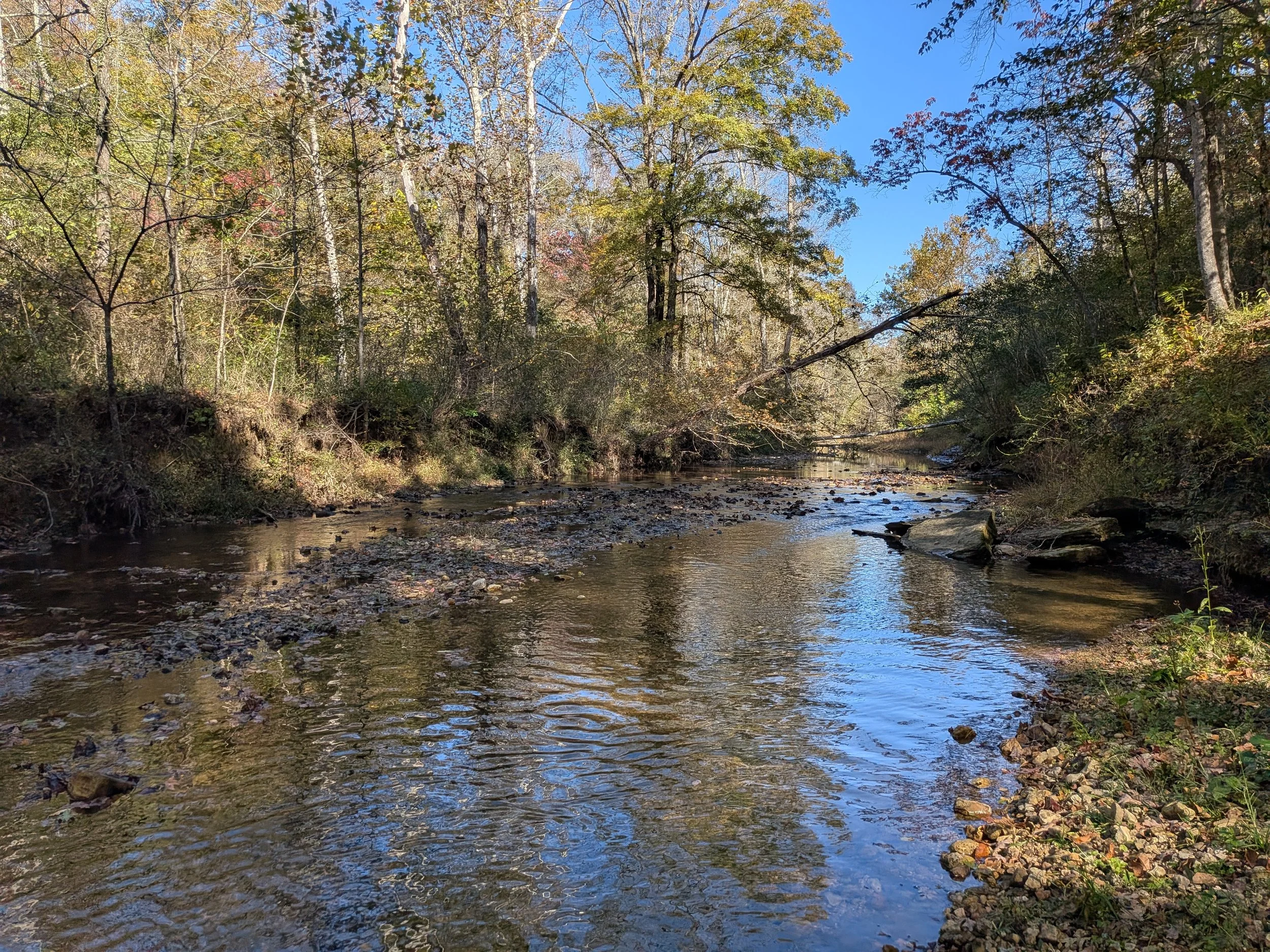 Beautiful Creeks