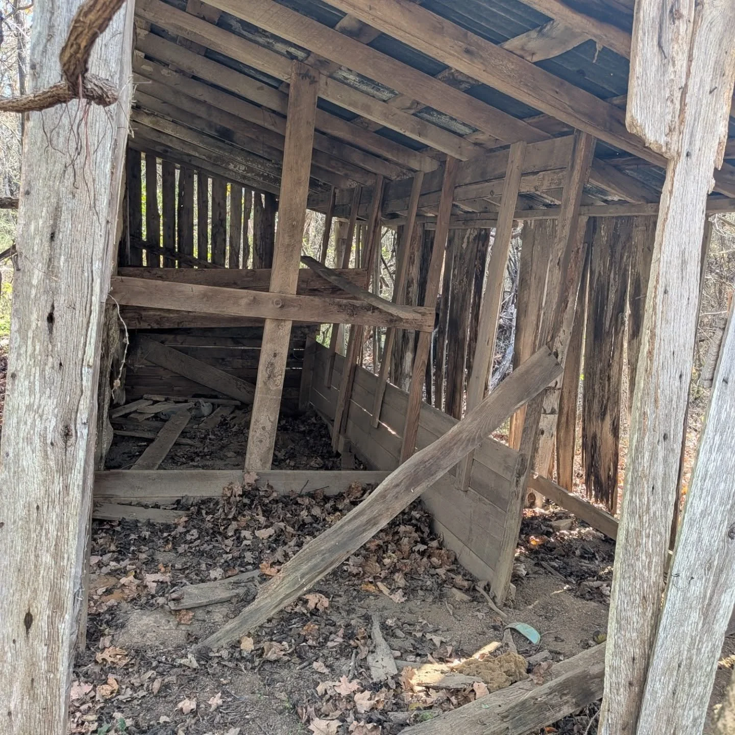 If only old farmsteads that I find in the woods could talk!