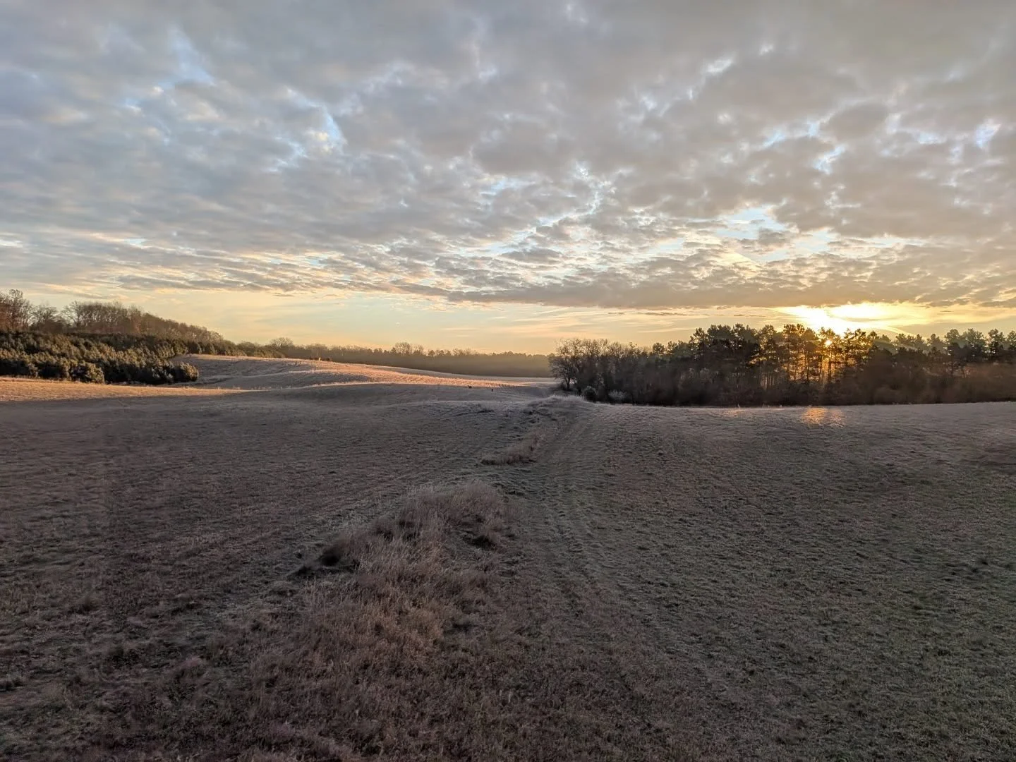 Wisconsin opener 2025