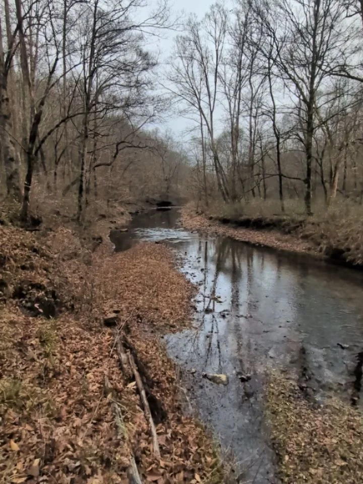 A little work and a little play today out at the land today.  Winter is a great time to find any additional trash or debris that may be lingering on your property. 

Also, a great time to mark property lines, post your property lines and safely burn 