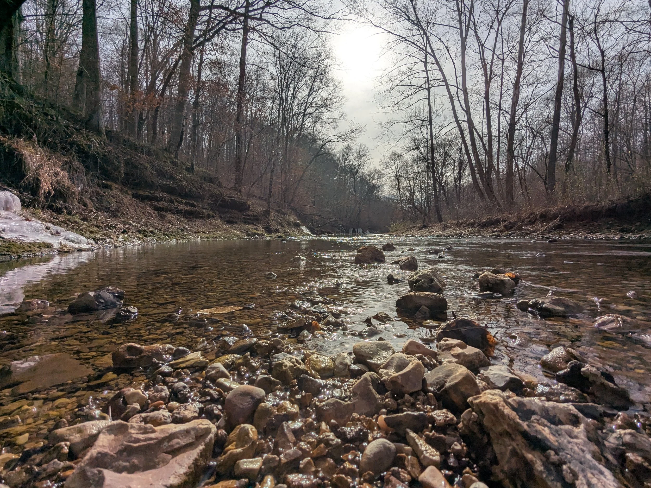 A river flowing through a wooded area with leafless trees and rocks in the water on a cloudy day.