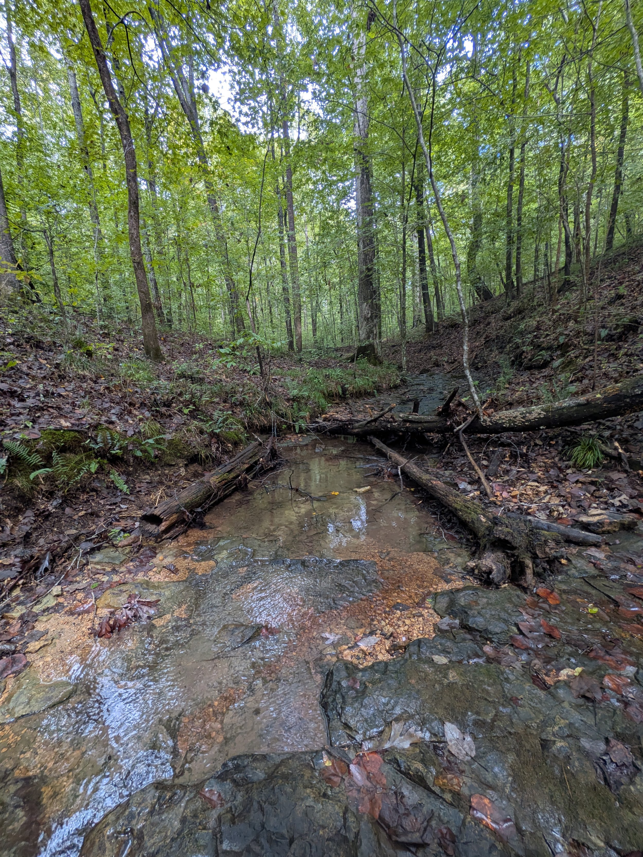 Natural Spring