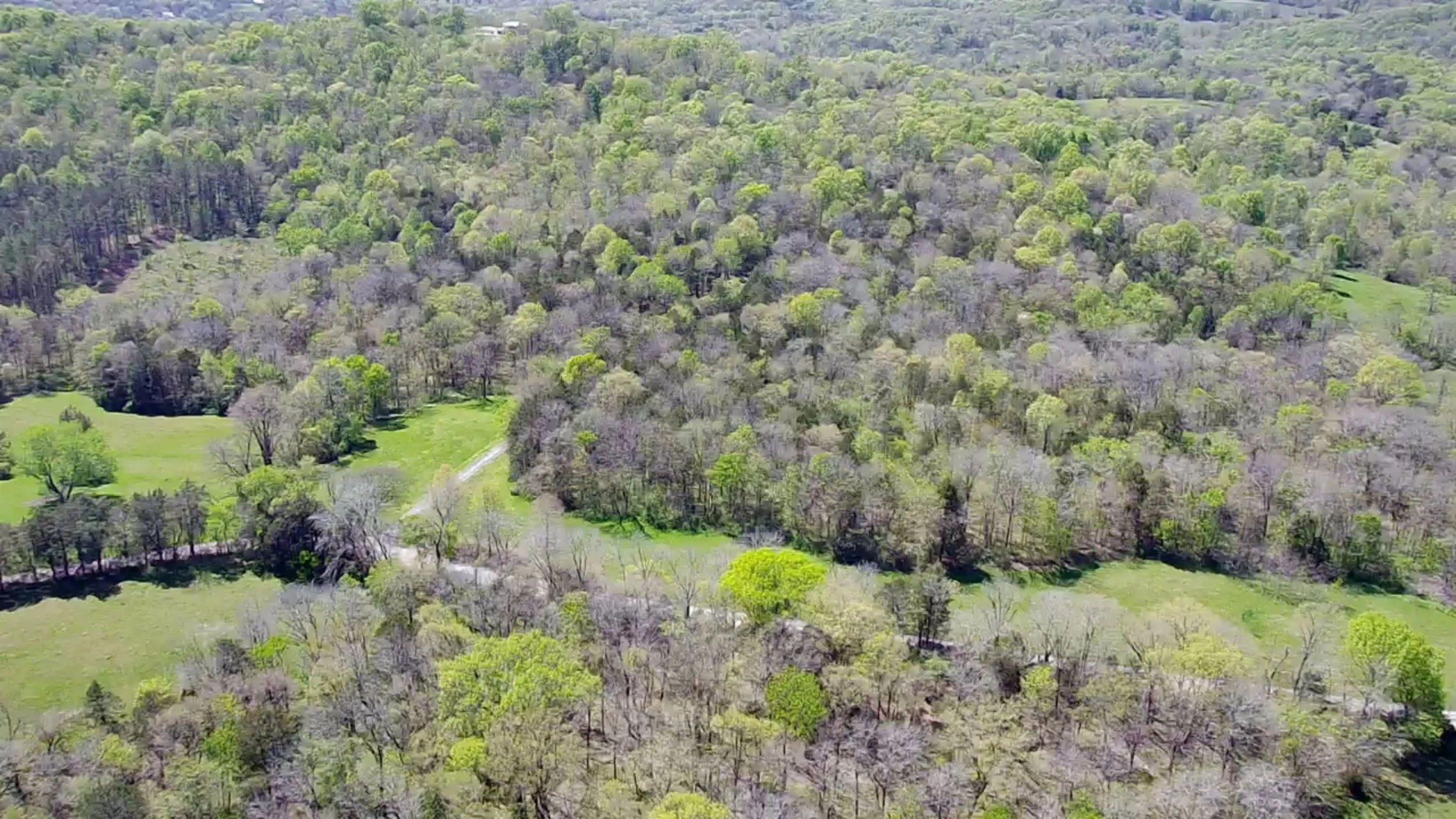 Aerial view of a large forest with various shades of green trees and open grassy areas.