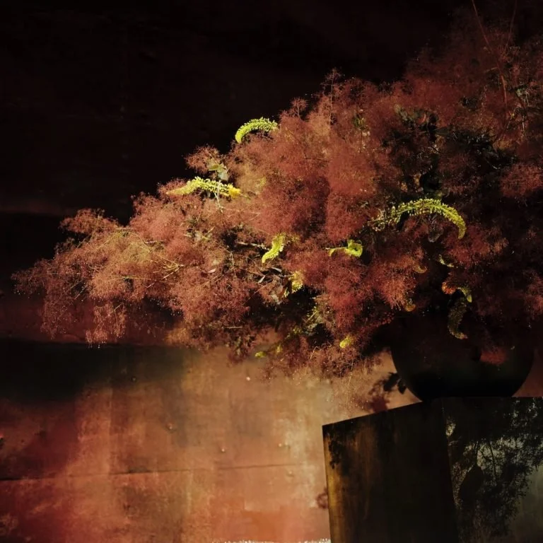 APPARATUS INTERLUDE