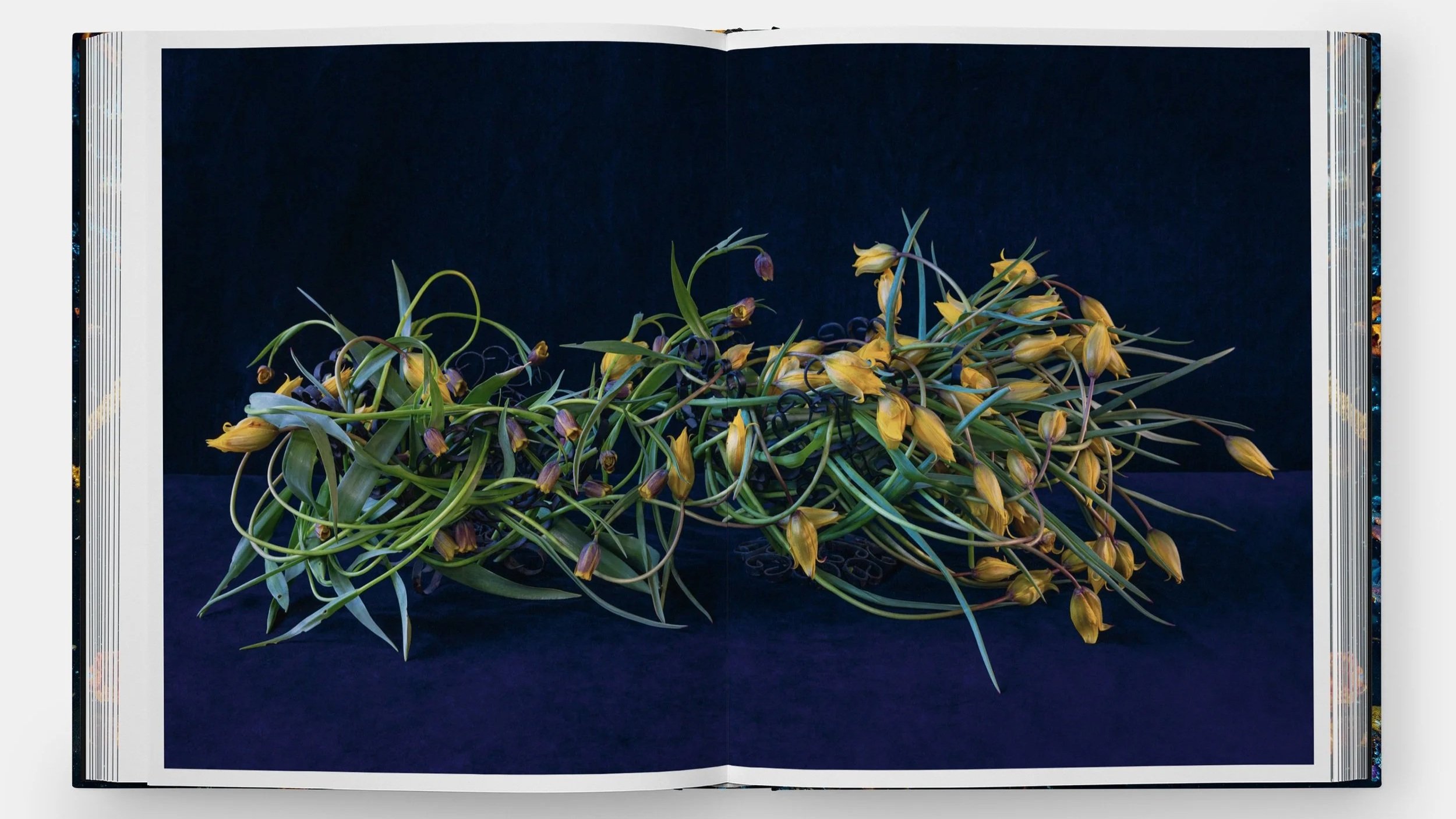 emily-thompson-flowers-ae-3652-3d-spread-5-3000.jpg