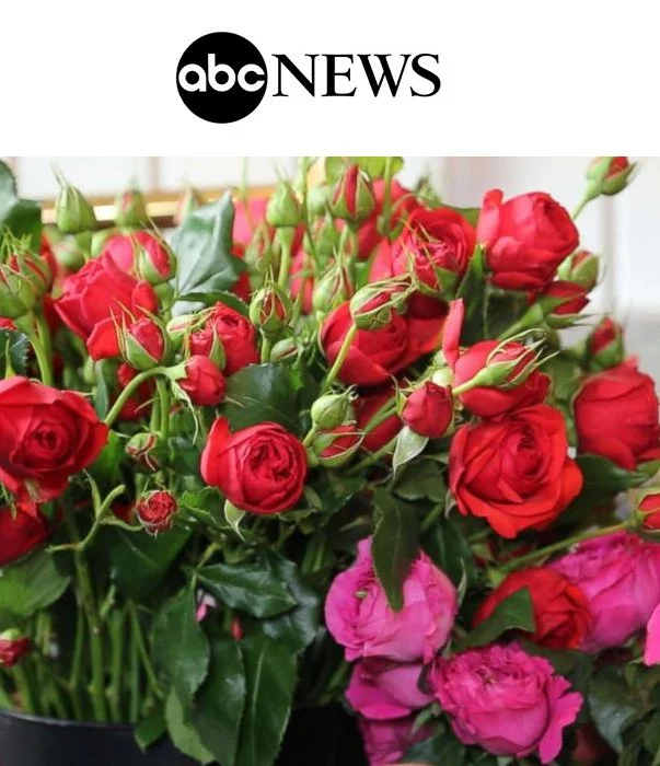 18-ABC-MAY.jpg
