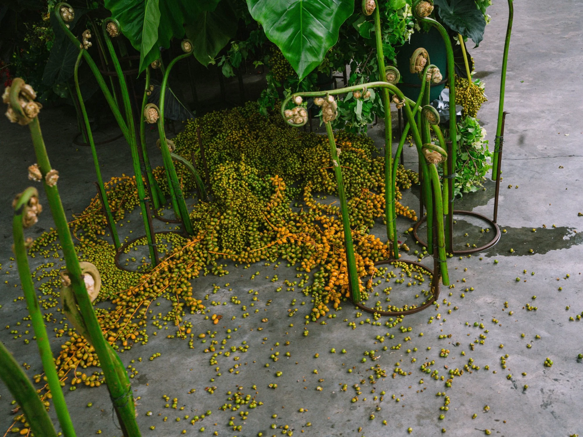 THE ART AND NATURE OF FLOWERS WORKSHOP